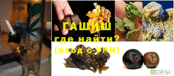 прущие грибы Лабытнанги