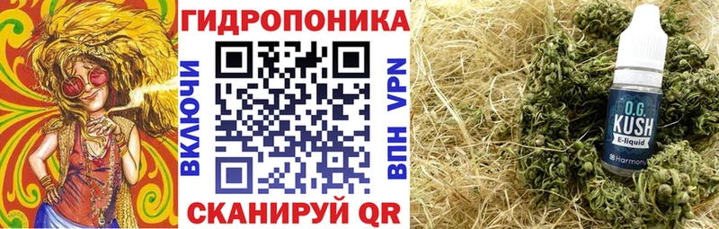купить закладку  Киров  Канабис SATIVA & INDICA 